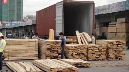 非洲材異軍突起 巴花與小斑馬引領市場用材新風尚