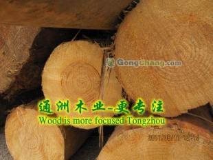 通洲木業 專業鐵杉木材加工，打造高品質建筑木方